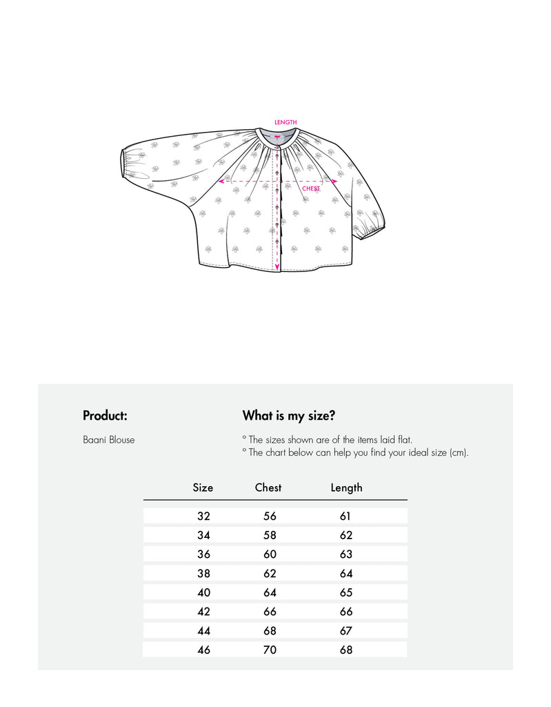 Baani Blouse